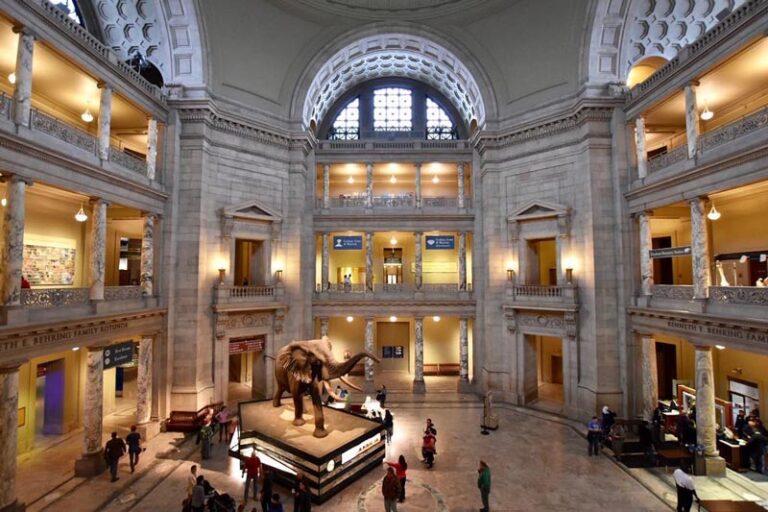 Natural History Museum Washington DC