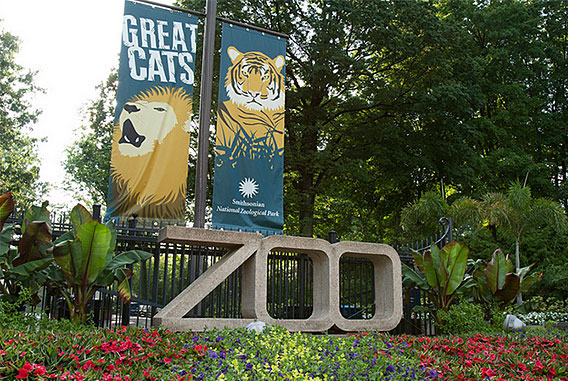 Smithsonian National Zoo in Washington DC