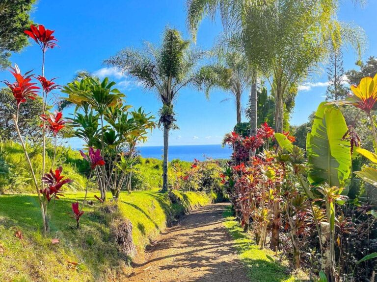 Garden of Eden Road to Hana Maui