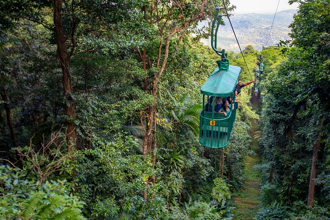 St. Lucia Rainforest Aerial Tram