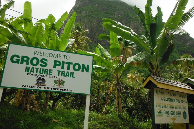 Gros Piton Hiking Trail is one of the top things to do in St Lucia