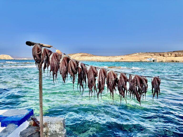 fresh Octopus hanging on a line outside of Medusa restaurant in Milos, Greece