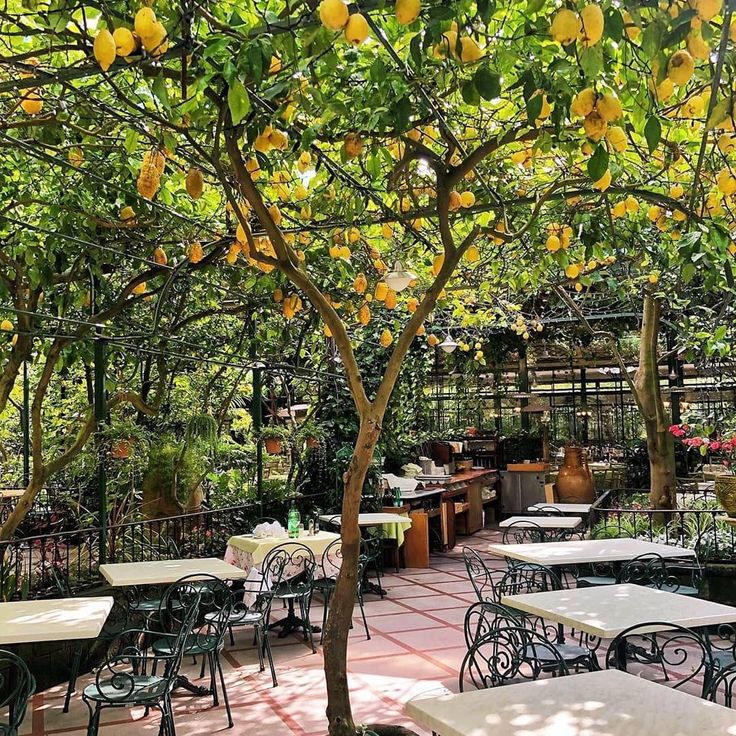 O'Parrucchiano La Favorita Restaurant in Sorrento, Italy