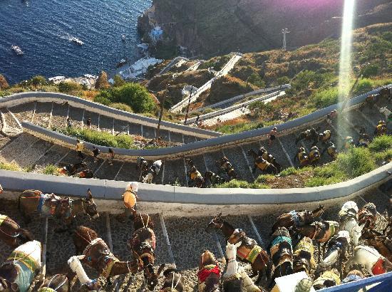 Donkey ride from Old Port to Fira in Santorini, Greece